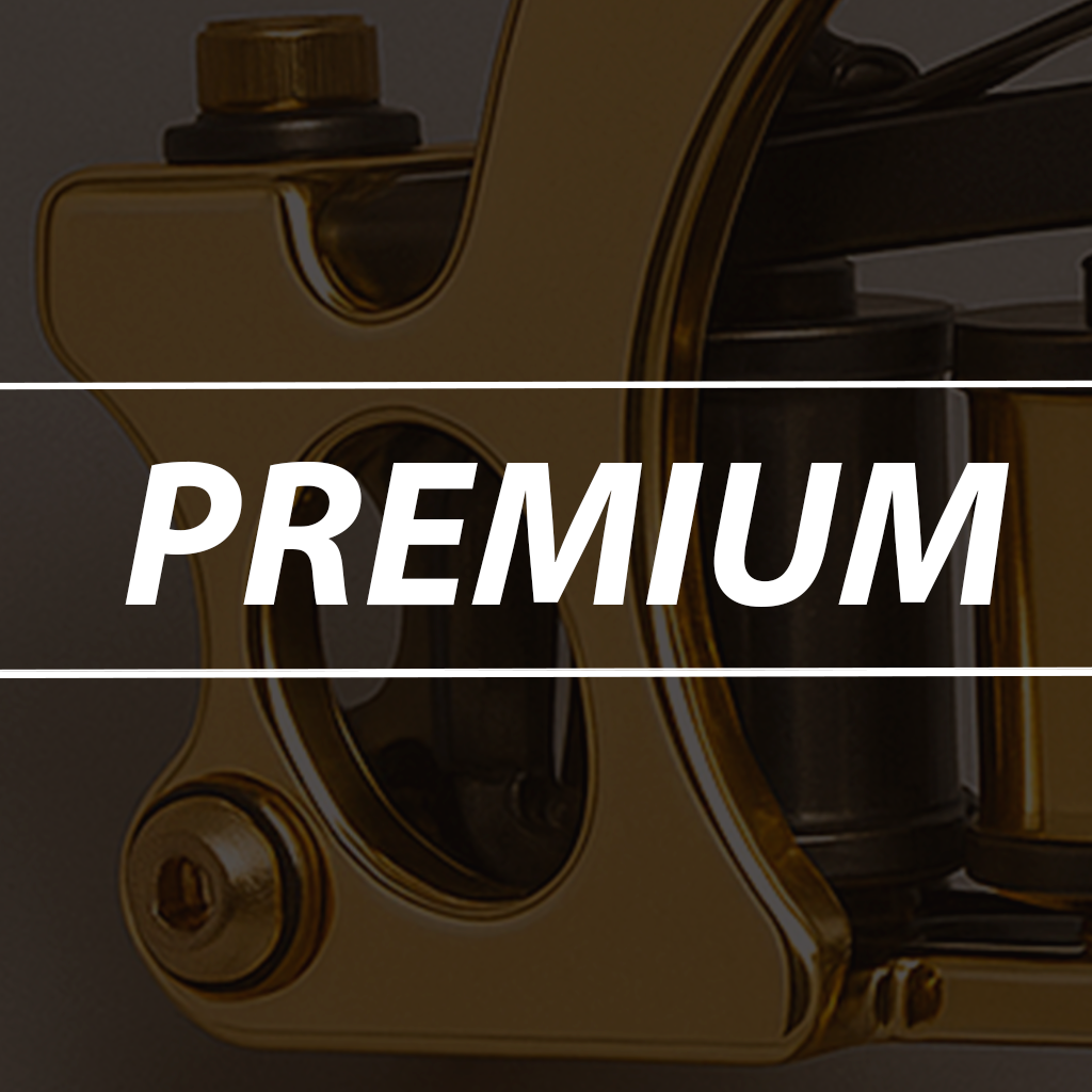 Curso de iniciación - Premium